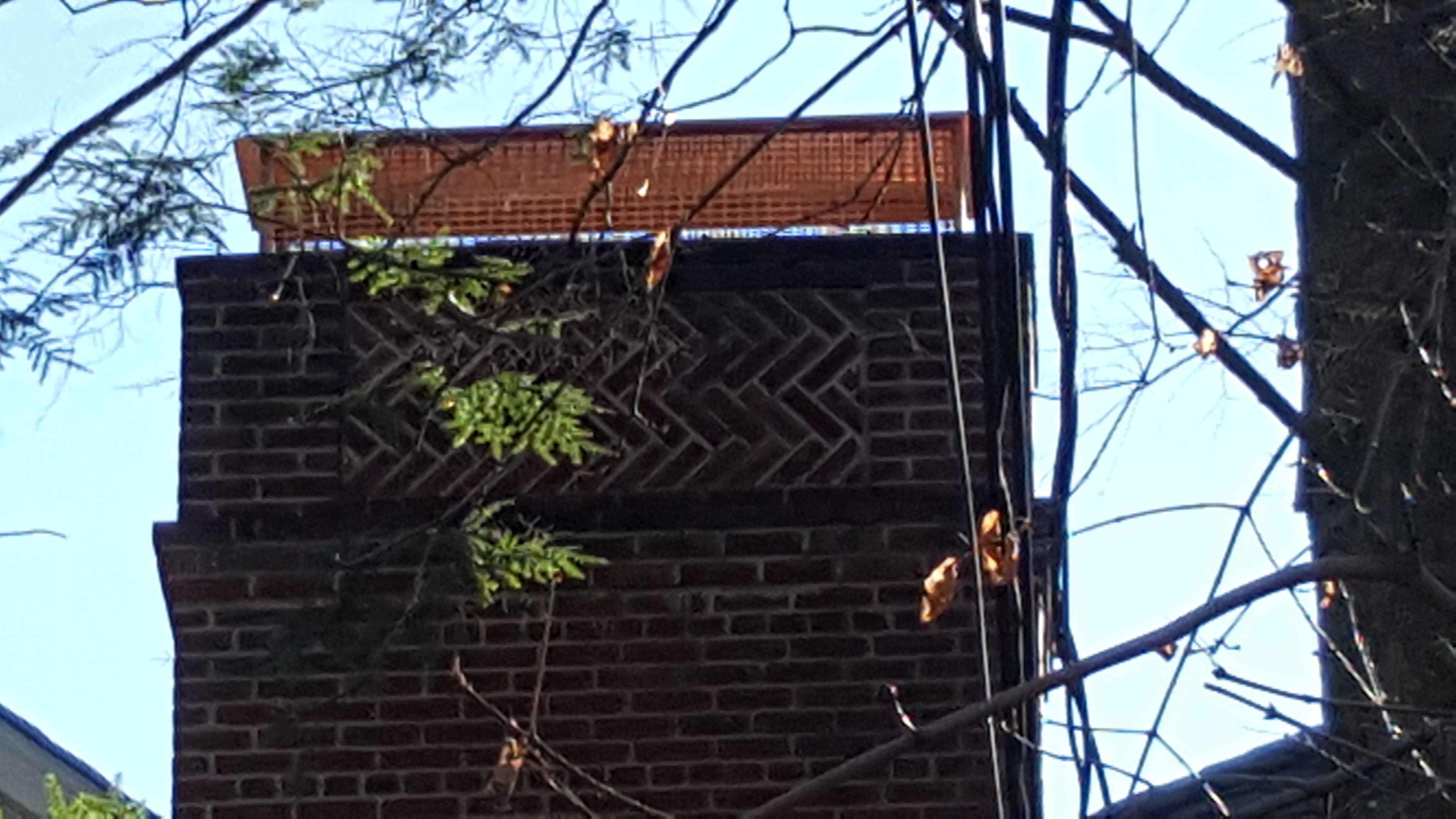 Animal-proof chimney cap protecting home in Westbury, New York